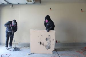 Mold Remediation Chicago