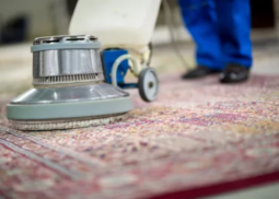 rug cleaning chicago